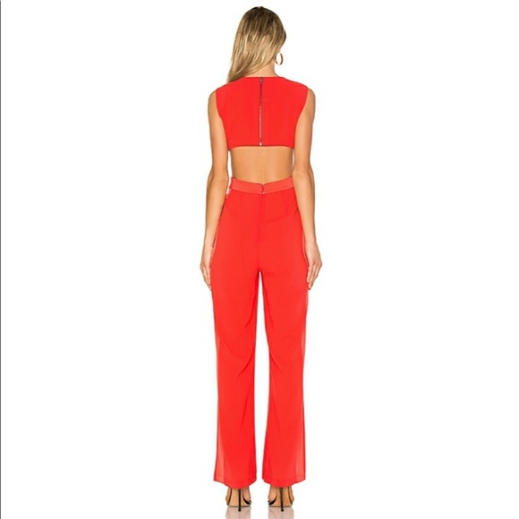 BCBG Maxazria, Malgosia Jumpsuit in Bright Poppy, Size Small - Picture 4 of 8